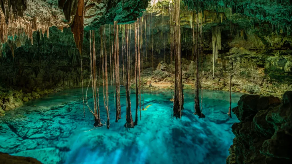 <trp-post-container data-trp-post-id='3301'>Cenotes en Mérida: Descubre los Tesoros Naturales de Yucatán</trp-post-container>