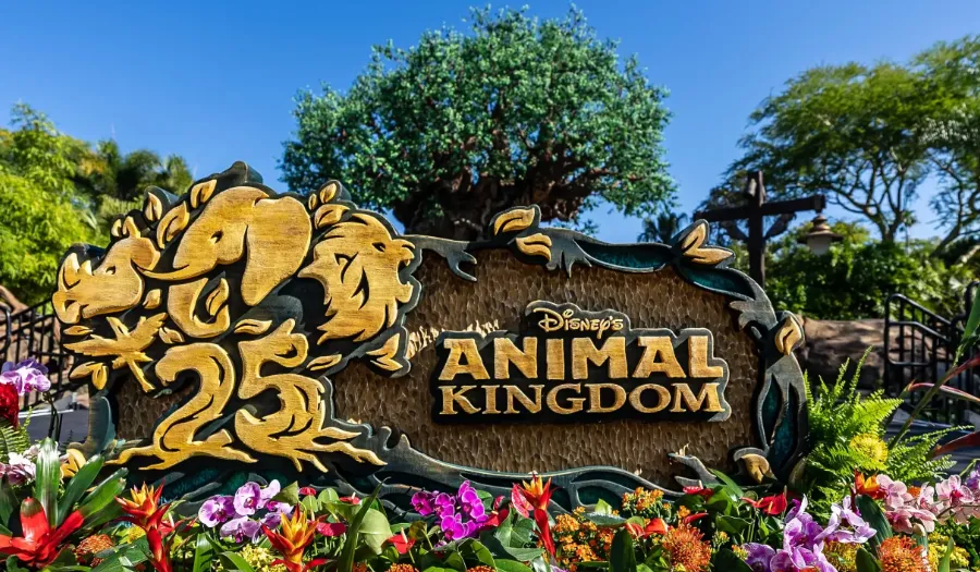 Entrada al parque de Animal Kingdom